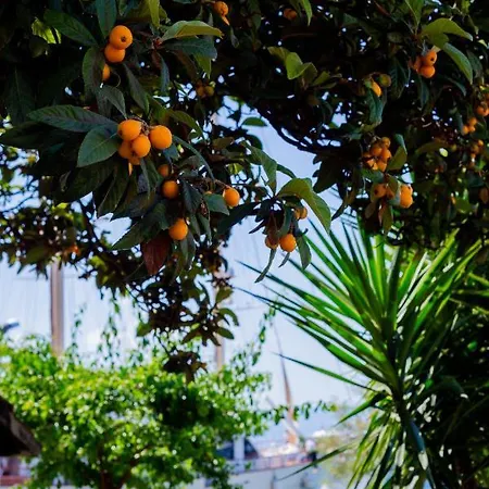Mediterranean Garden Apartements * Krilo