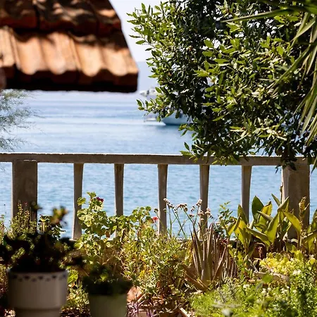 Mediterranean Garden Apartements Apartment Krilo